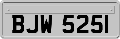 BJW5251