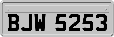 BJW5253