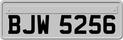 BJW5256