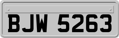 BJW5263