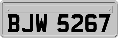 BJW5267