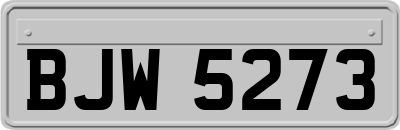 BJW5273