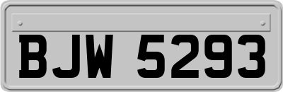 BJW5293