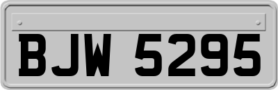 BJW5295