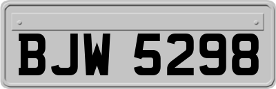 BJW5298
