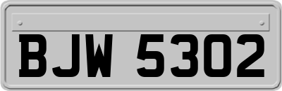 BJW5302