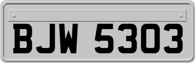 BJW5303
