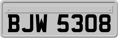 BJW5308