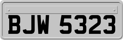 BJW5323