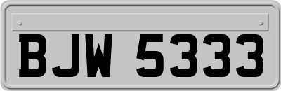 BJW5333