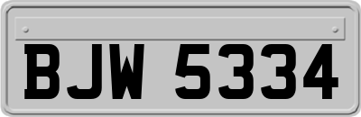 BJW5334
