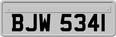 BJW5341
