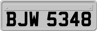 BJW5348