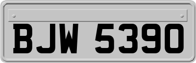 BJW5390