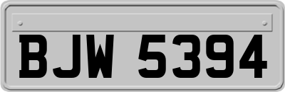 BJW5394