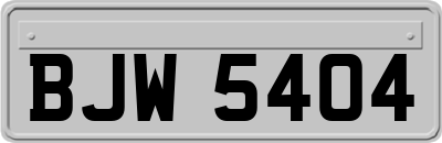 BJW5404