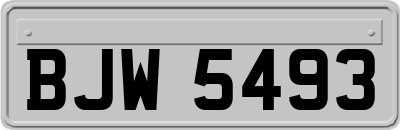 BJW5493