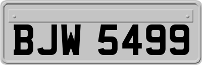 BJW5499