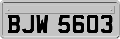 BJW5603