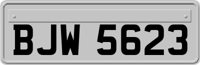 BJW5623