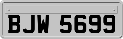 BJW5699