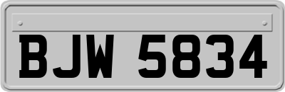 BJW5834