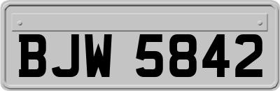 BJW5842