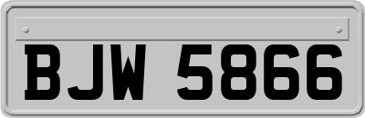 BJW5866