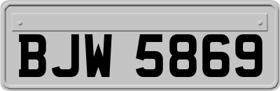 BJW5869
