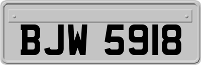 BJW5918
