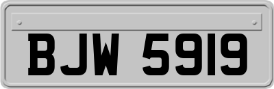 BJW5919