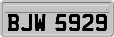 BJW5929