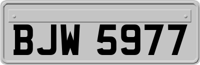 BJW5977