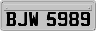 BJW5989