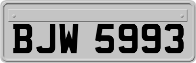BJW5993