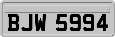 BJW5994