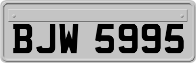 BJW5995