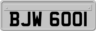 BJW6001