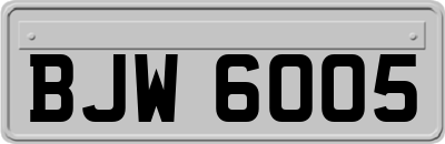 BJW6005