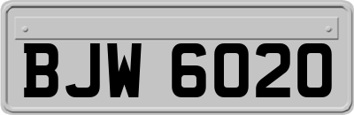 BJW6020