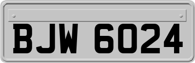 BJW6024