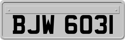 BJW6031