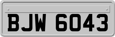 BJW6043
