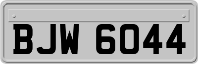 BJW6044
