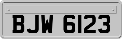BJW6123