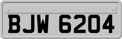 BJW6204