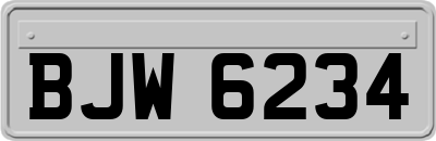 BJW6234