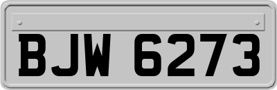 BJW6273