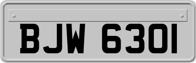 BJW6301