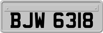 BJW6318